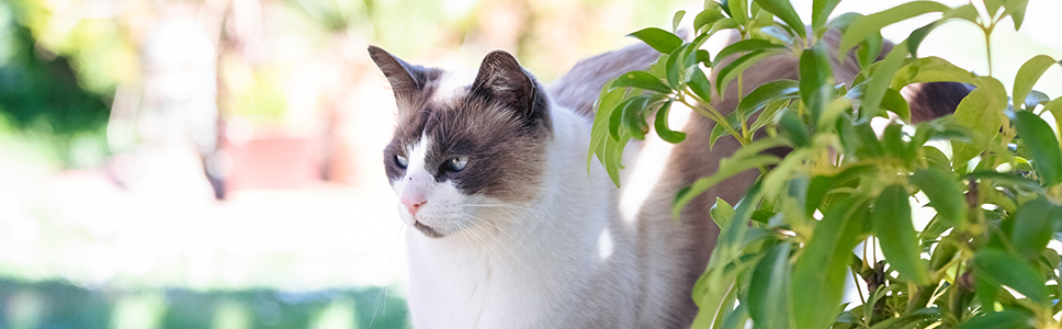 Weitere Informationen